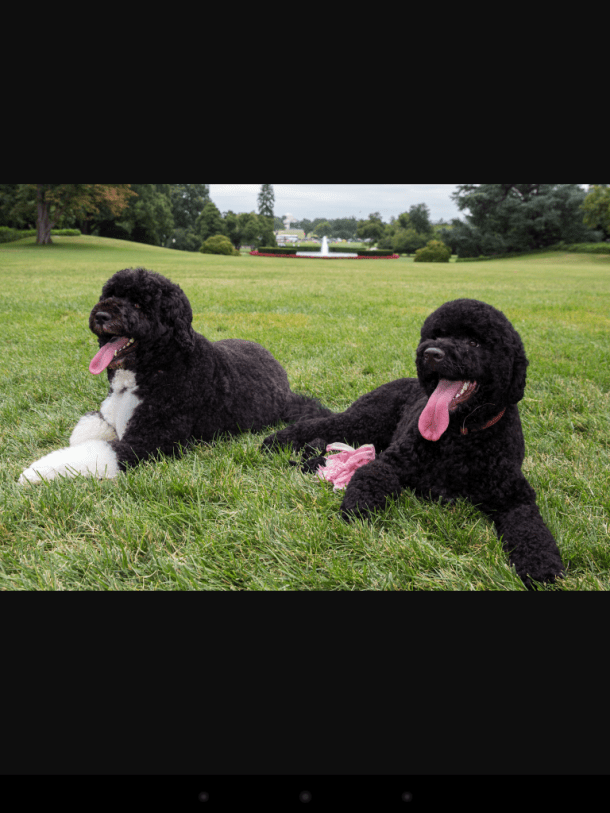 Screenshot_2016-01-23-11-36-32